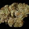 Girl Scout Cookies (Forum) S1 Feminized Cannabis Seeds